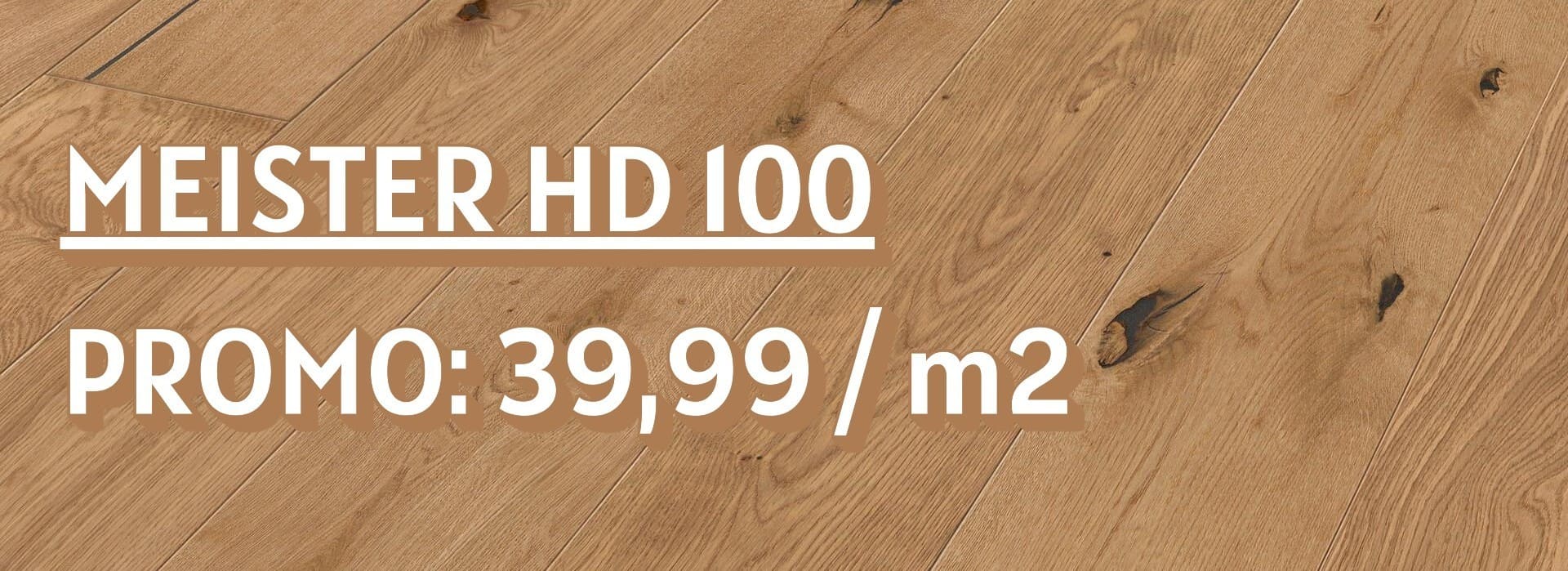 Meister HD 100 